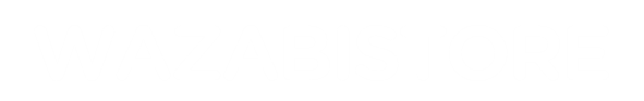 WazabiStore